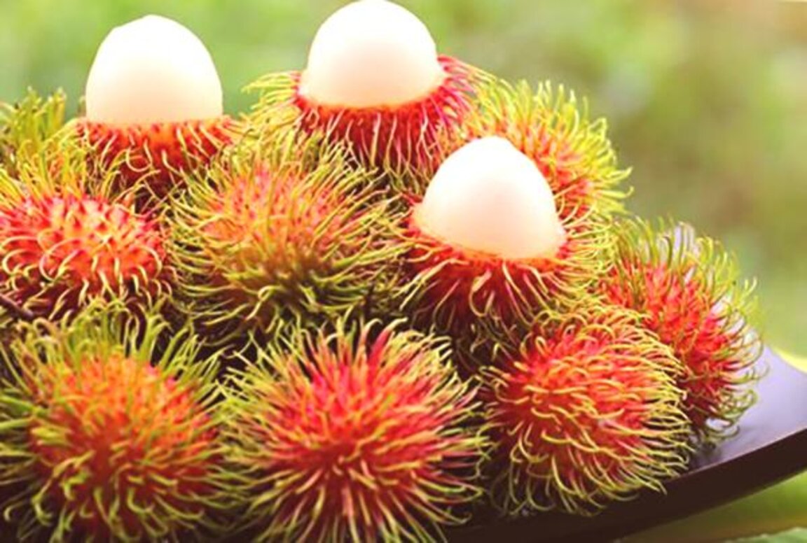 Какво е това рамбутан