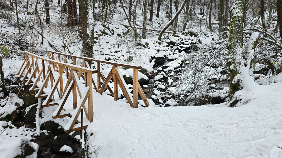„Ефир за приятели“ с Лалка Радкова...