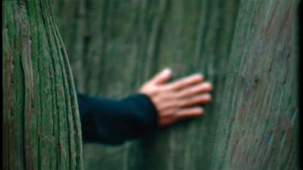 Филмът "Мълчаливият приятел" ще промени ...