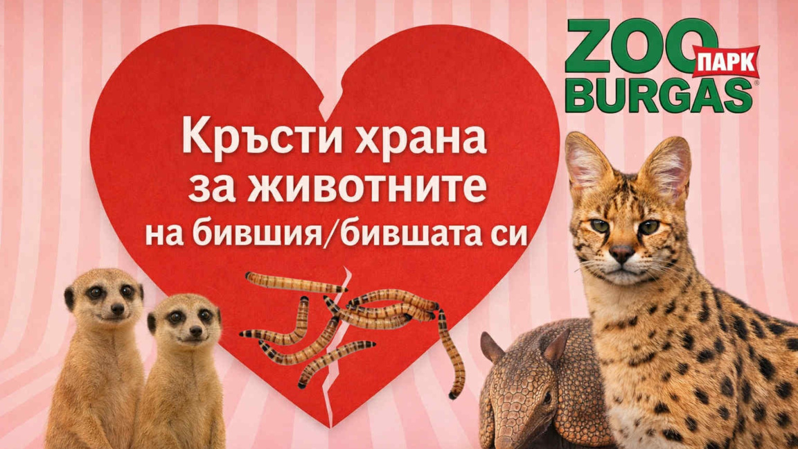 Бургаският зоопарк с нестандартна инициа...