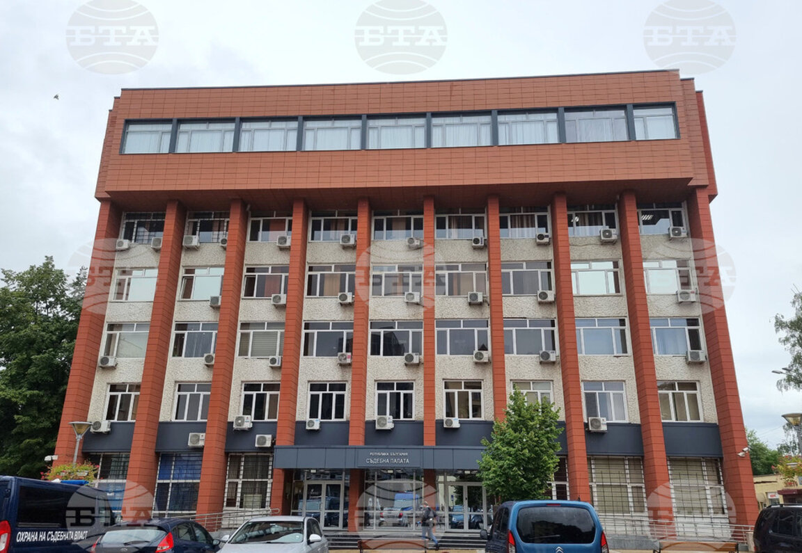 Разследване в Перник за жестоко убийство на животни