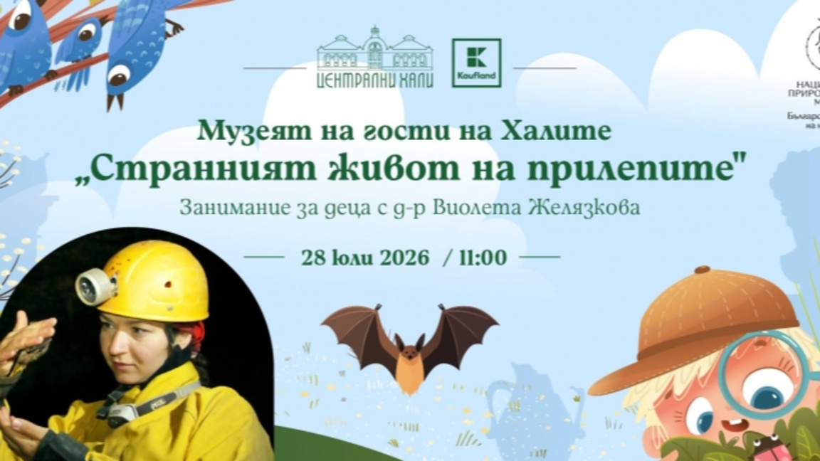 Странният живот на прилепите