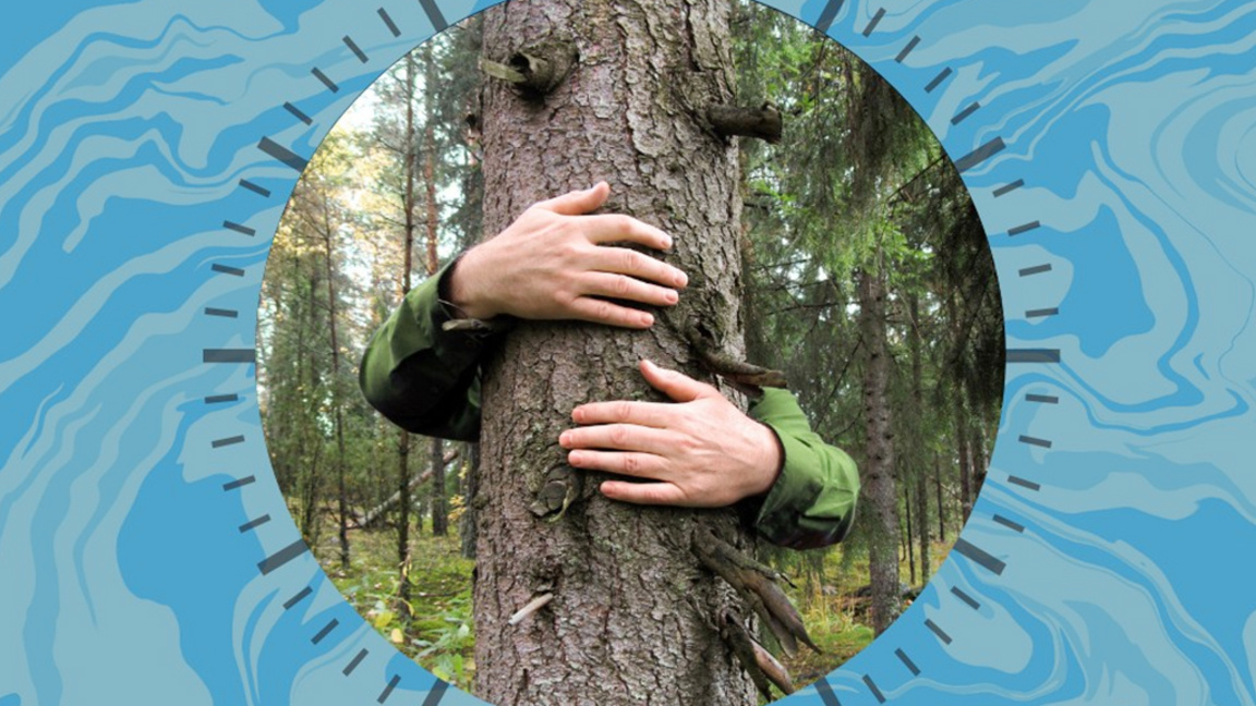 Доброволци почистват река в Северния пар...