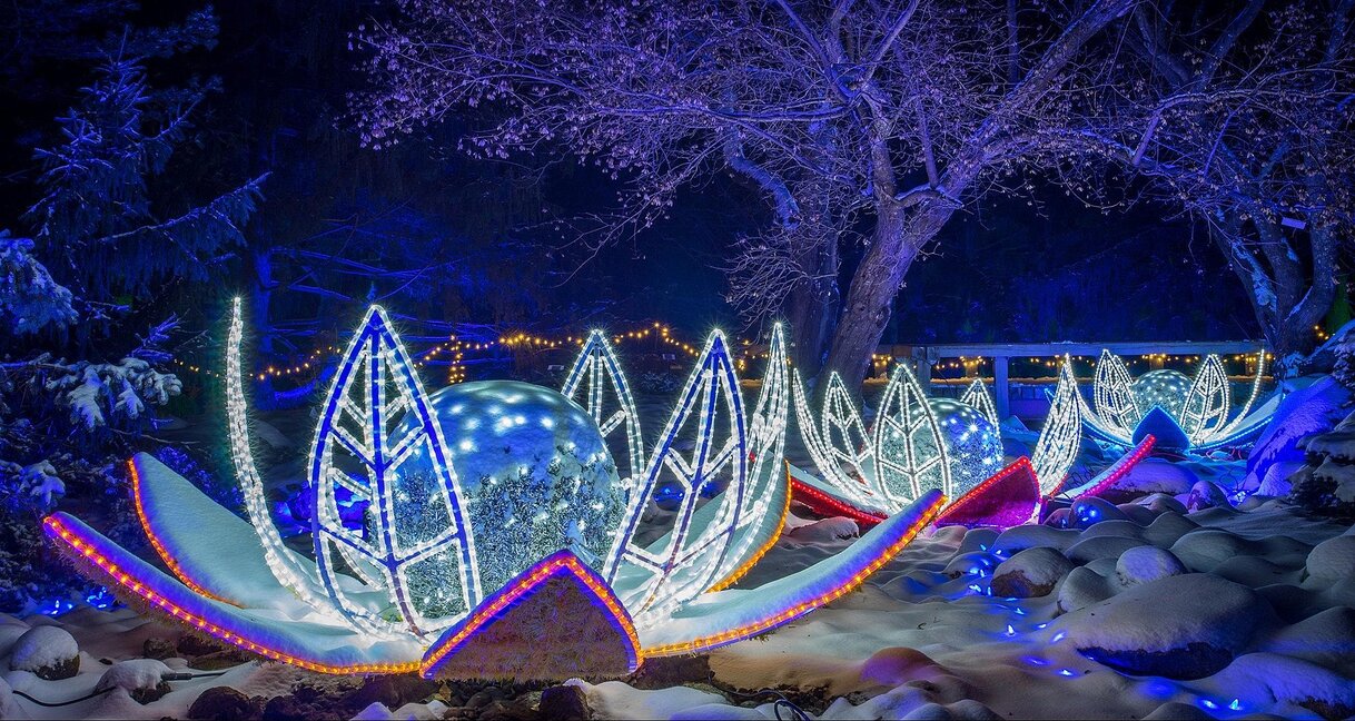 Специалната ни съботна програма за 1 януари