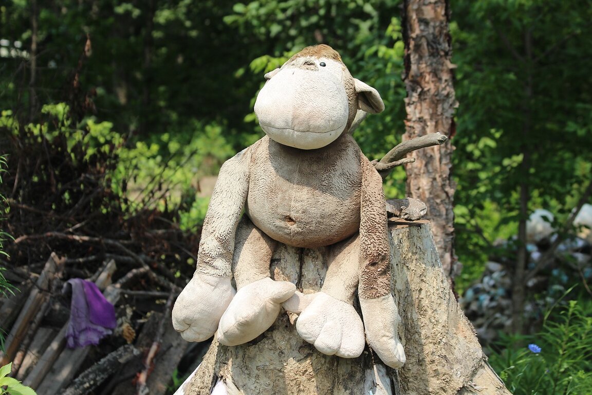 Съботната радиопрограма в сайта на 20 ноември