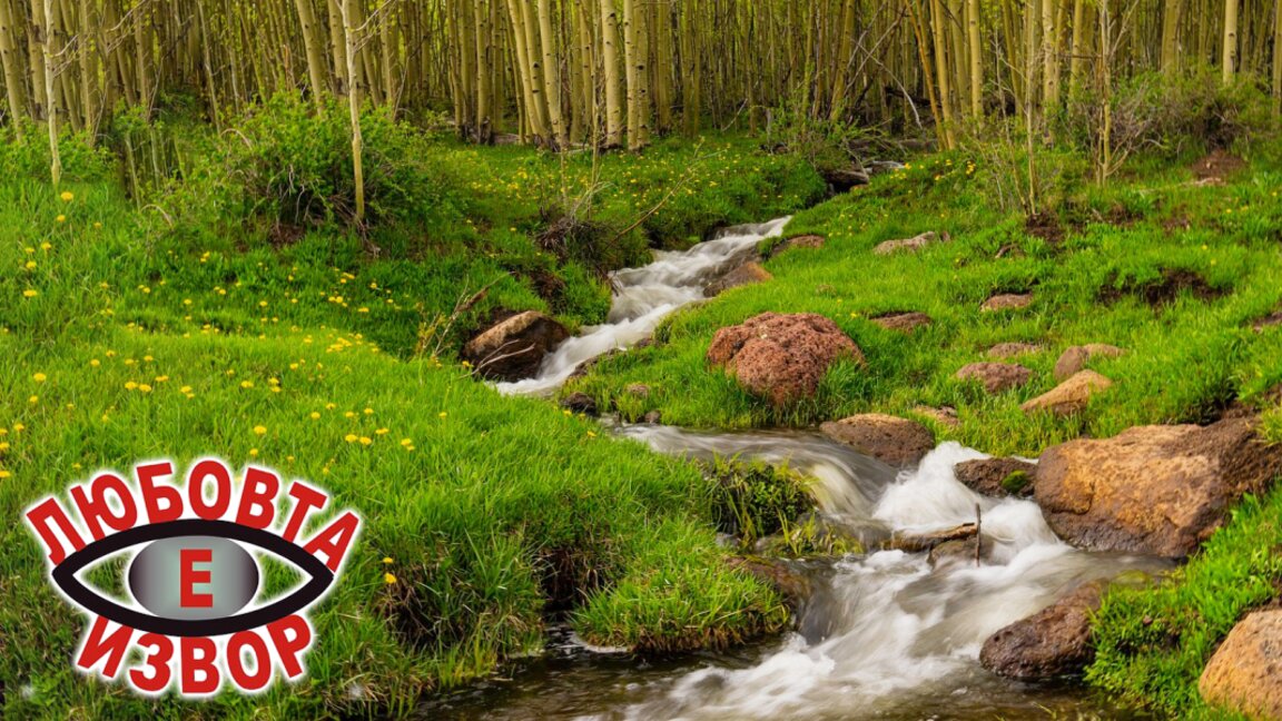 Започна четвъртото издание на националния литературен конкурс  "Любовта е извор"