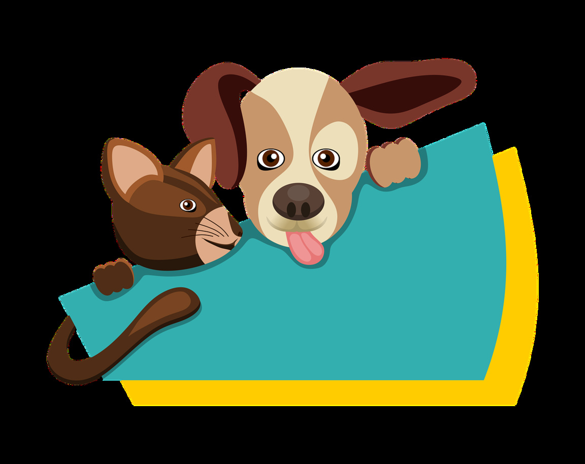 Съботната ни програма  в сайта на 5 февруари