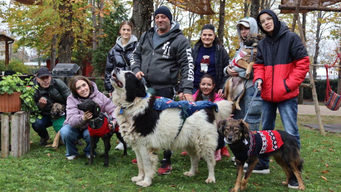 Доброволци помагат за осиновяването на бездомни кучета