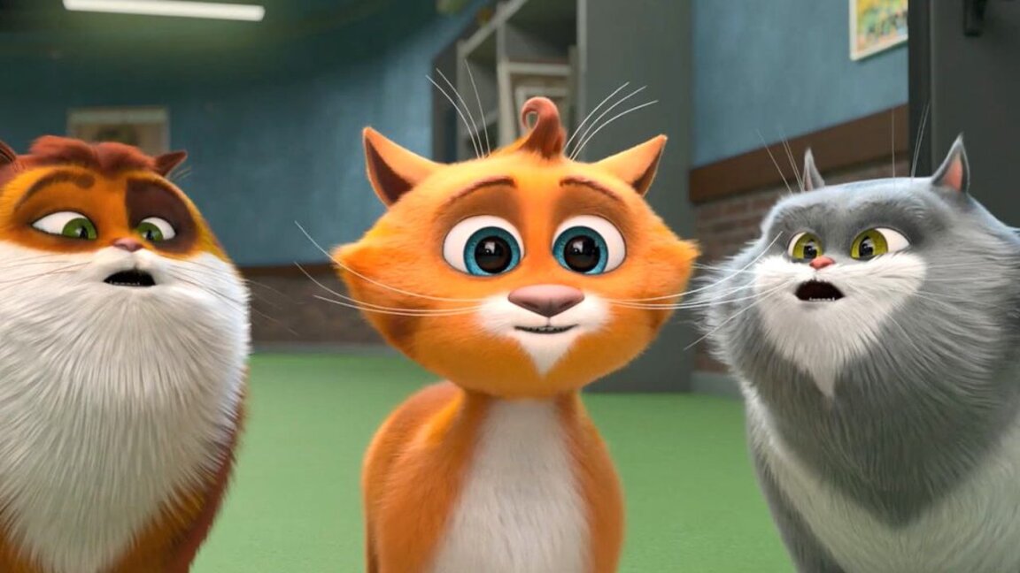 Котки в музея