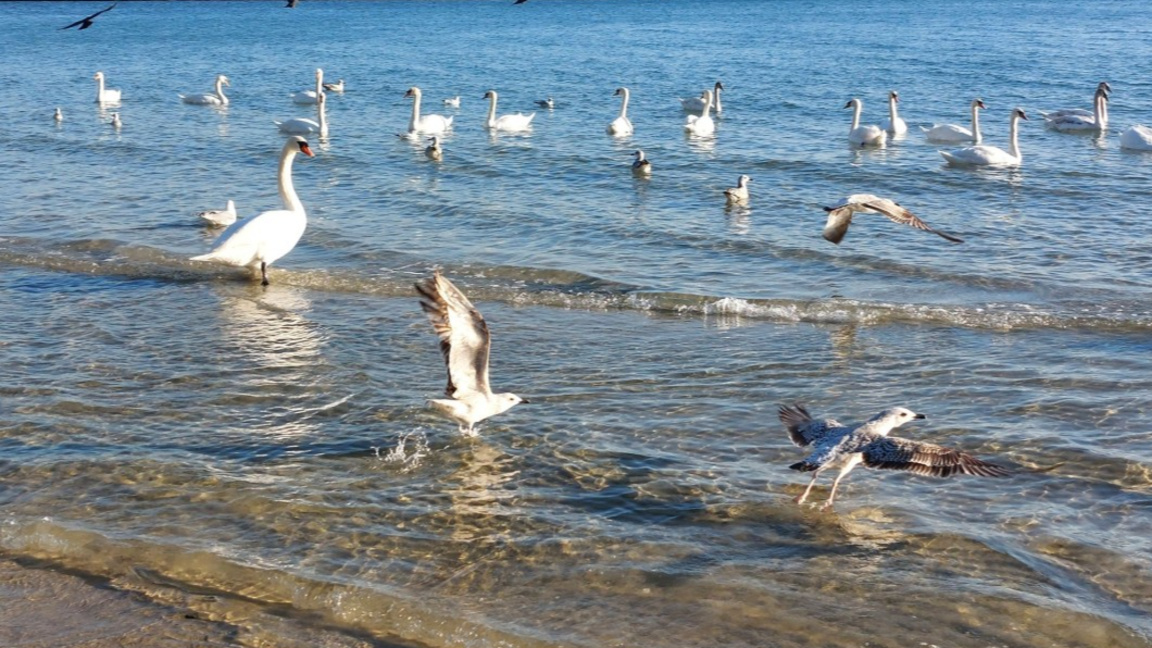 Слънчев, но студен петък...