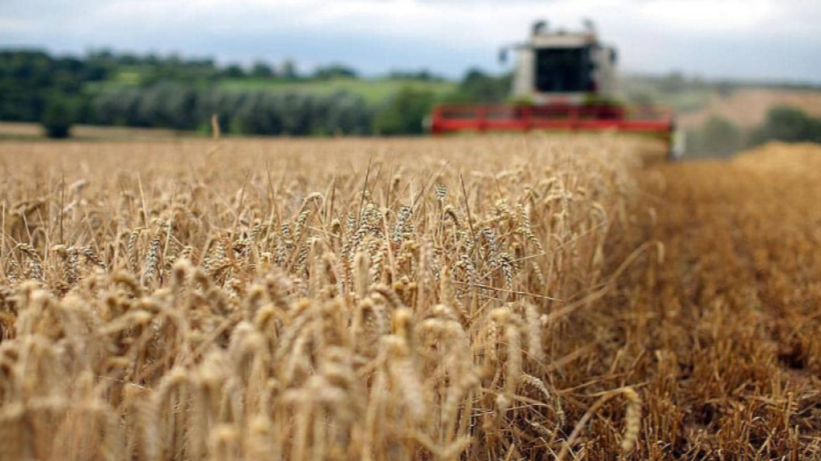 Радостина Жекова: Страшно много пари се "изпраха" през земеделието