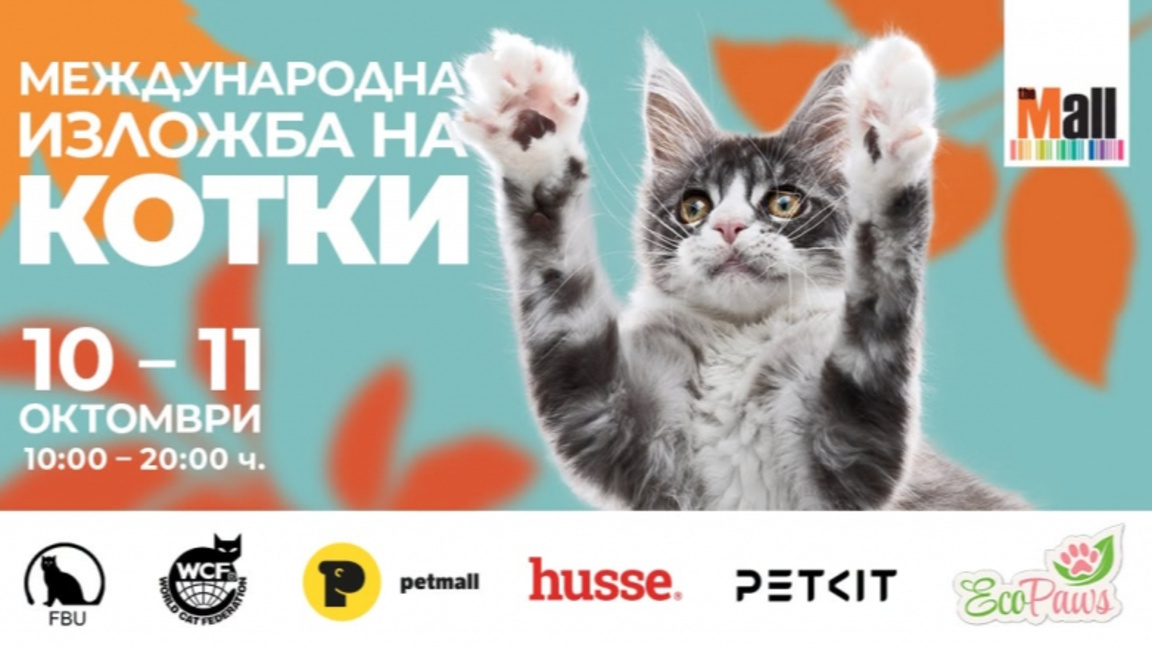 Международна изложба на котки