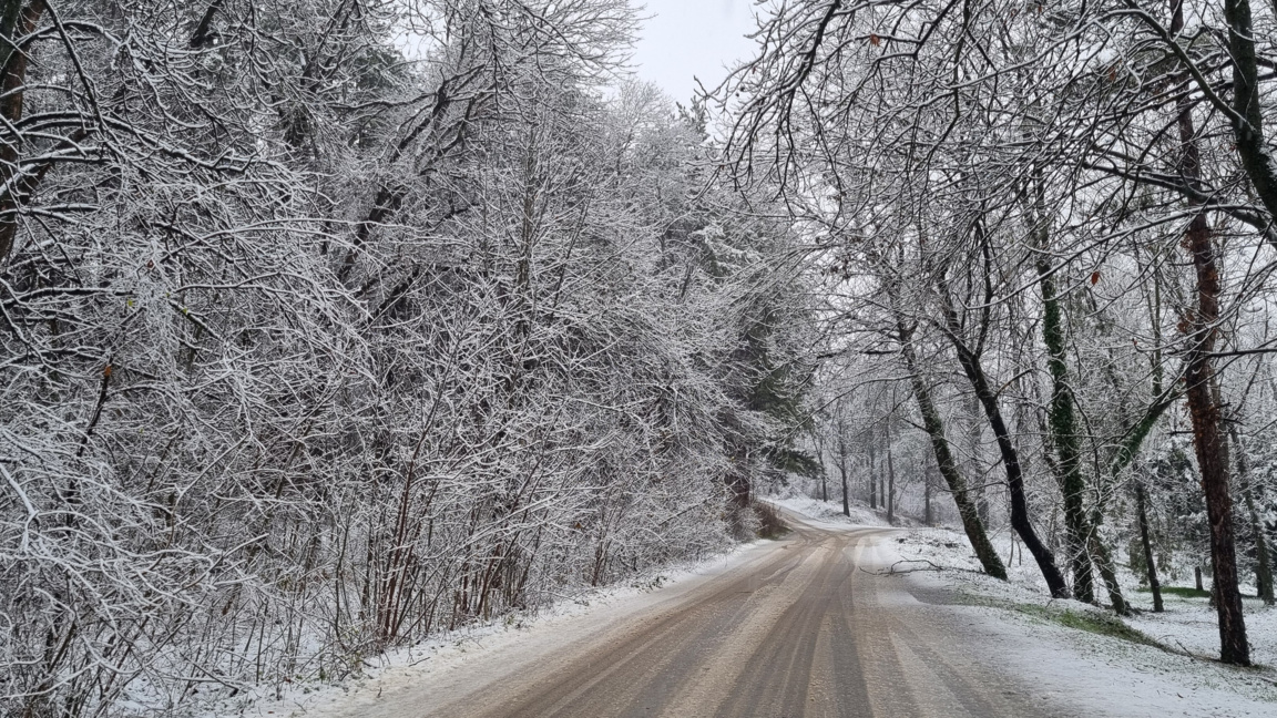 Зимен ден с температури близки до нулата...