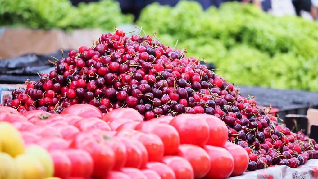 Бюрокрация и климатични промени свиват българското биопроизводство