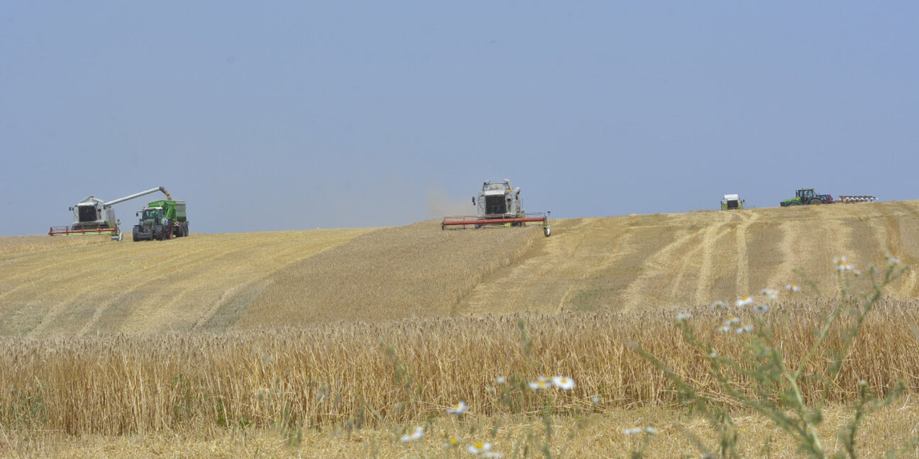 Зърнопроизводителите се готвят да протестират идната седмица
