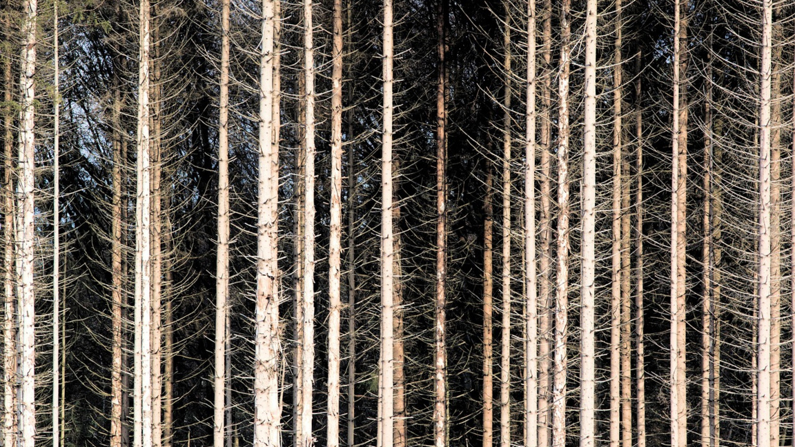 Времето в петък...