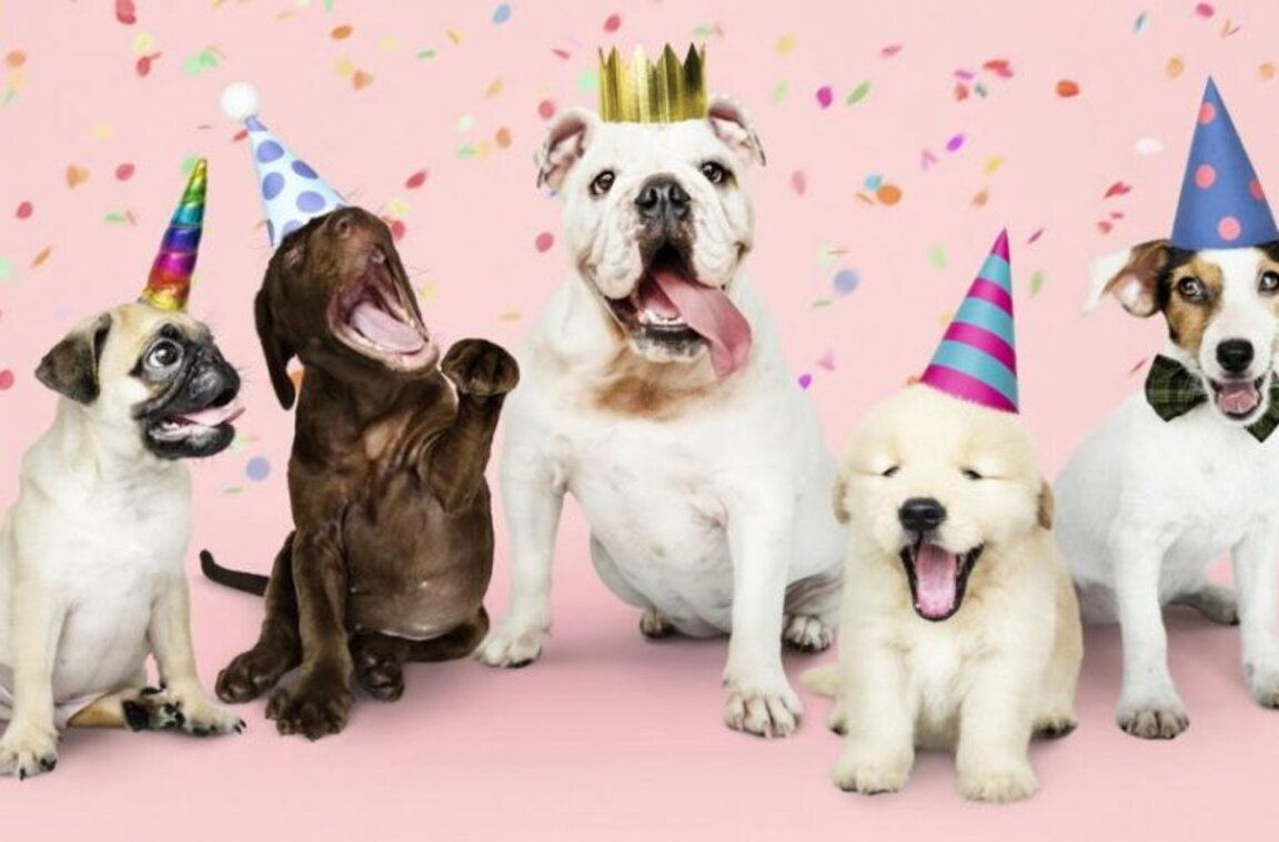 Днес е международният ден на кучето