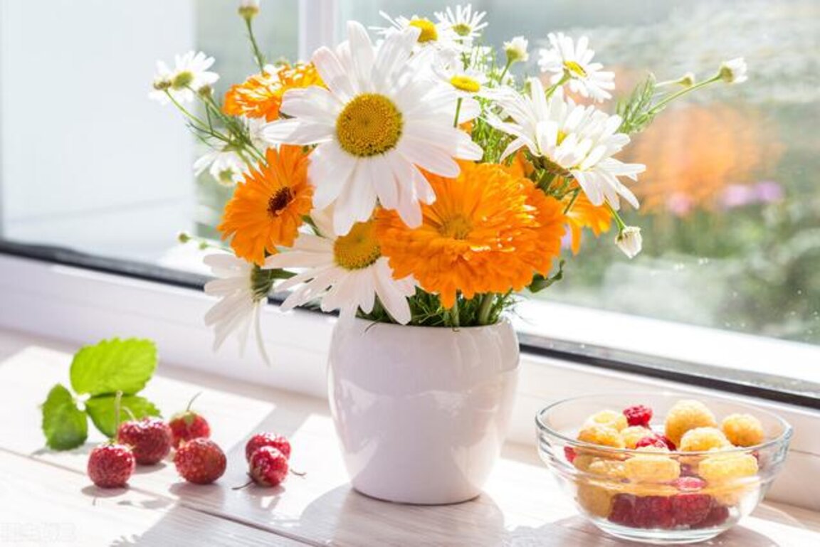 Специалната ни съботна програма за 23 -ти октомври