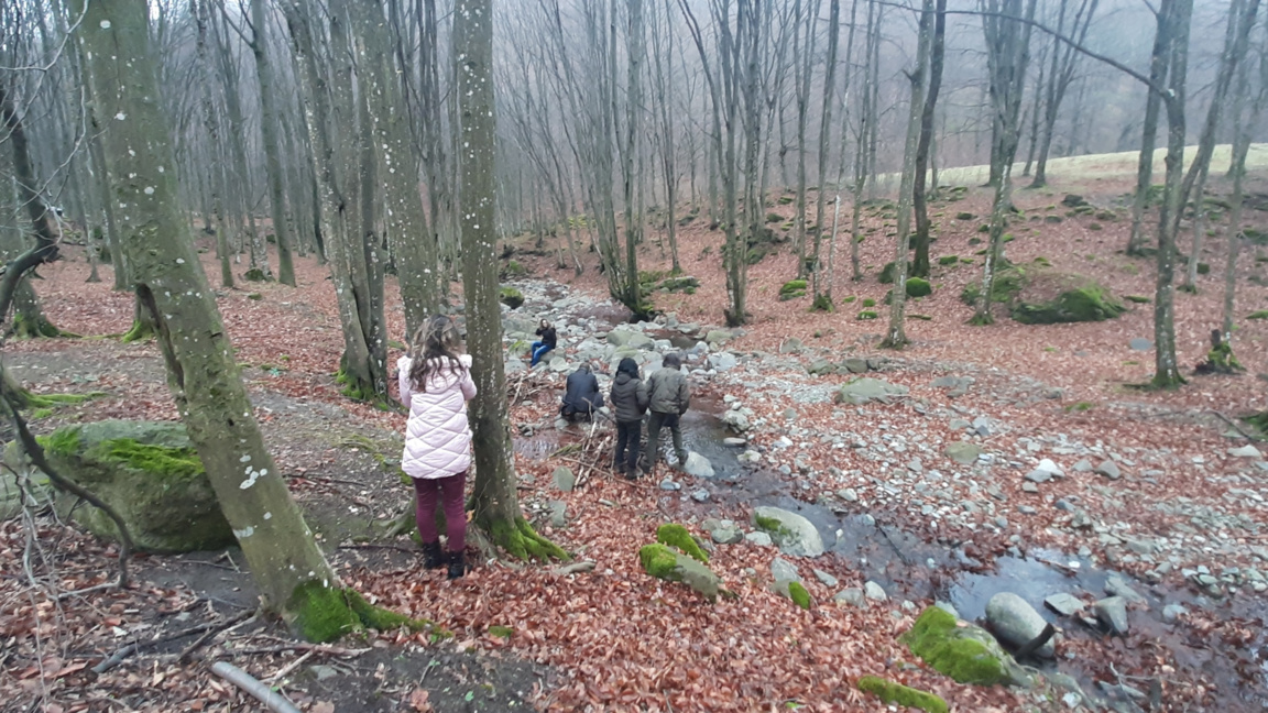 Природата в Берковица привлича туристи...