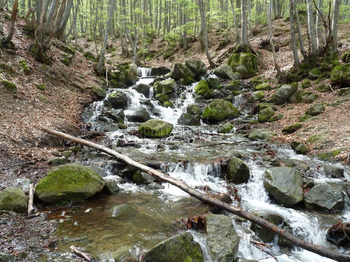 До Боянският водопад и с "Приказка за София"