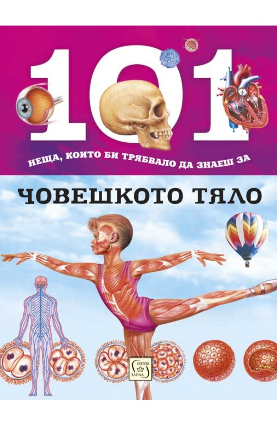 101 неща за човешкото тяло
