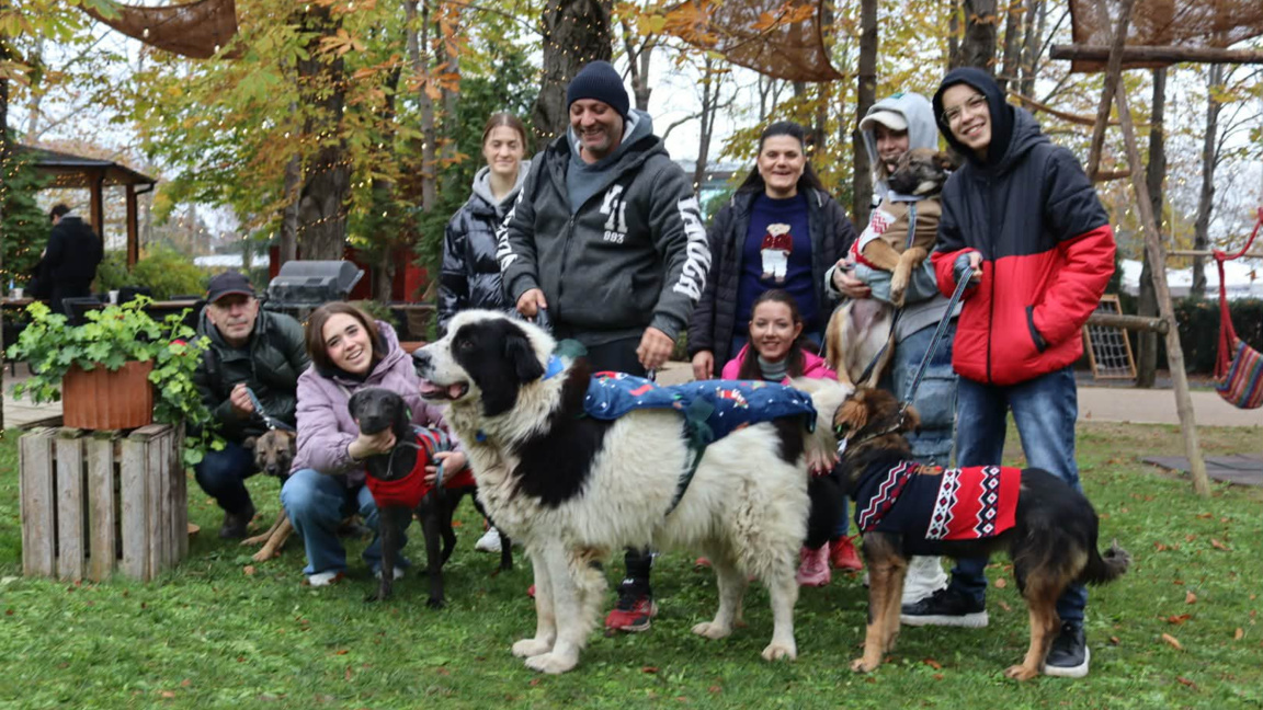 Стикери с призив за защита на животните ...