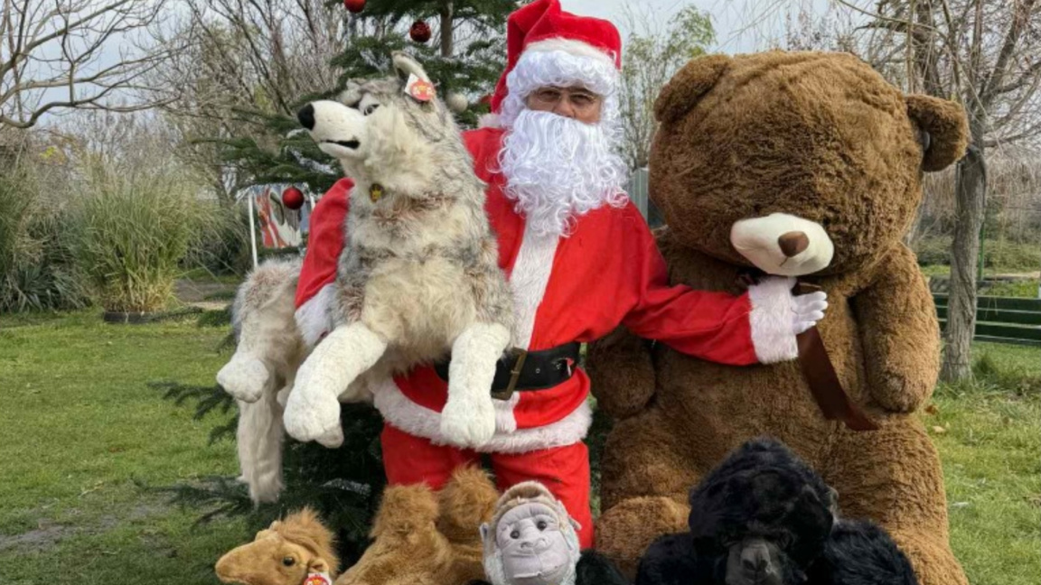 Животните от бургаския зоопарк получиха подаръци от Дядо Коледа