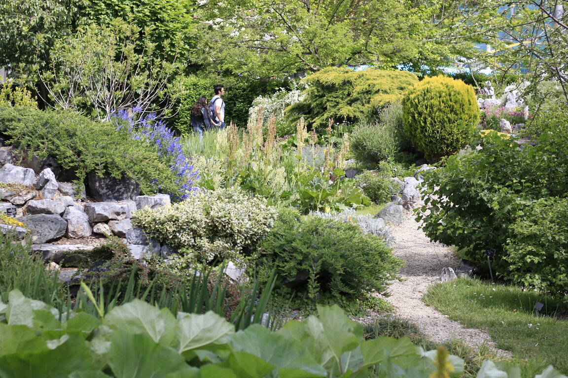 Есенни срещи с растенията